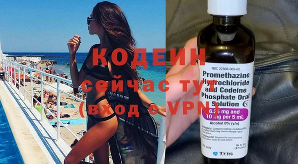 прущая мука Дмитриев
